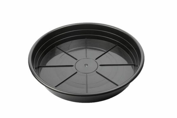 Black Premium Saucer 10"