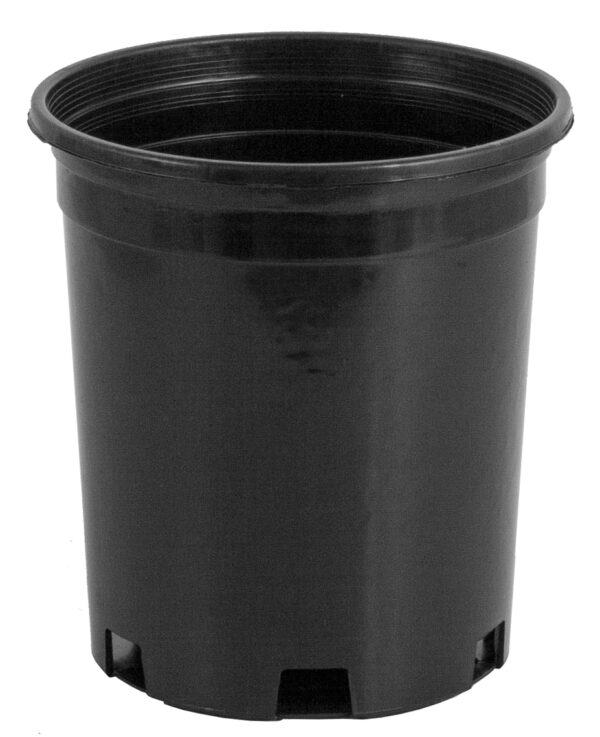 Premium Nursery Pot 1 Gallon Bottom Drain