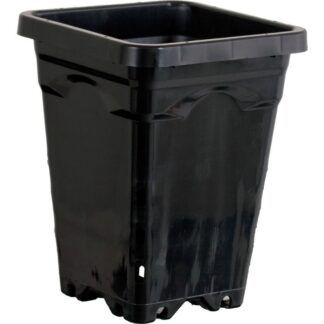 5"x5" Square Black Pot 7" Tall