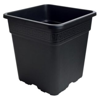 Black Square Pot 2Gal