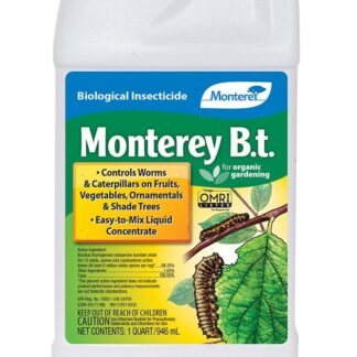 Monterey B.t. Qt