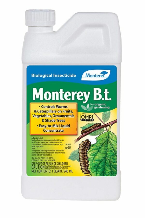 Monterey B.t. Qt