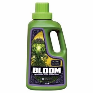Bloom Quart/0.95 Liter